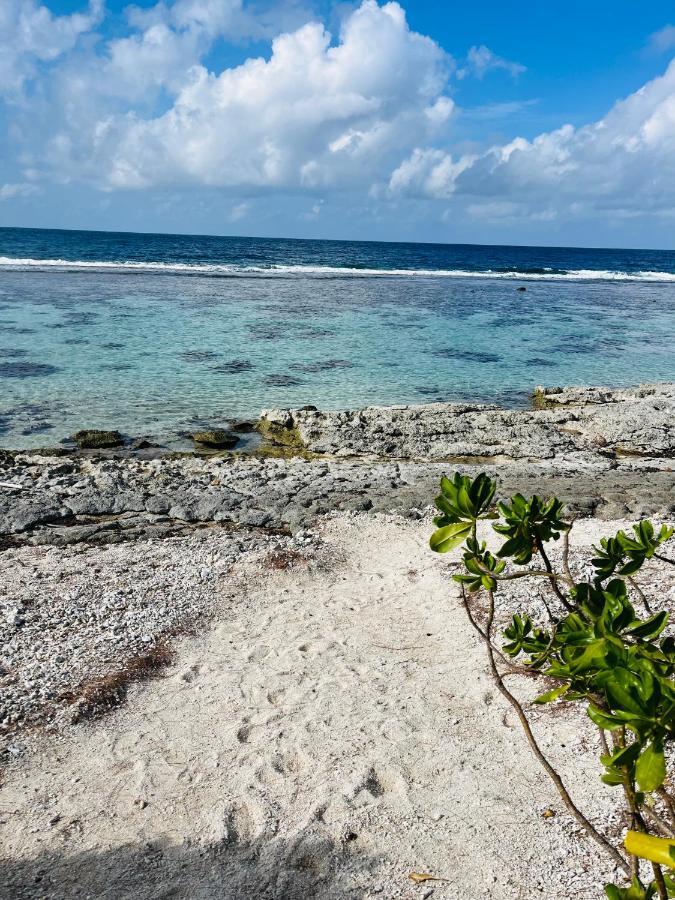 Bungalow Kura Moorea Luaran gambar