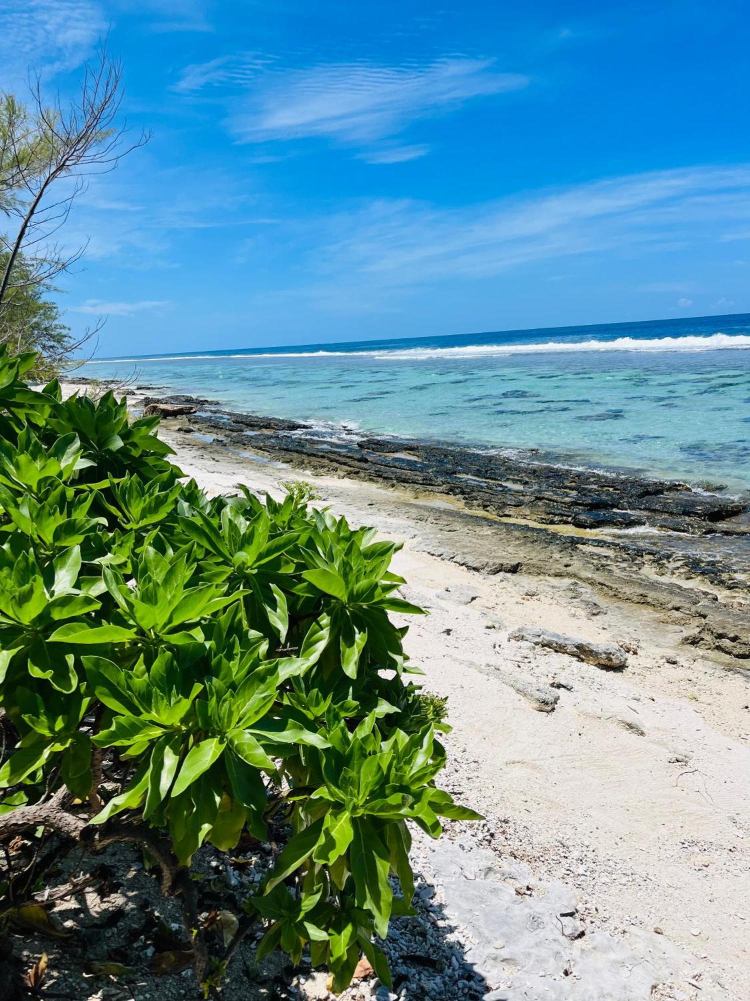 Bungalow Kura Moorea Luaran gambar